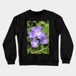 Corncockle Cluster Crewneck Sweatshirt